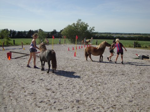 Agility Agility